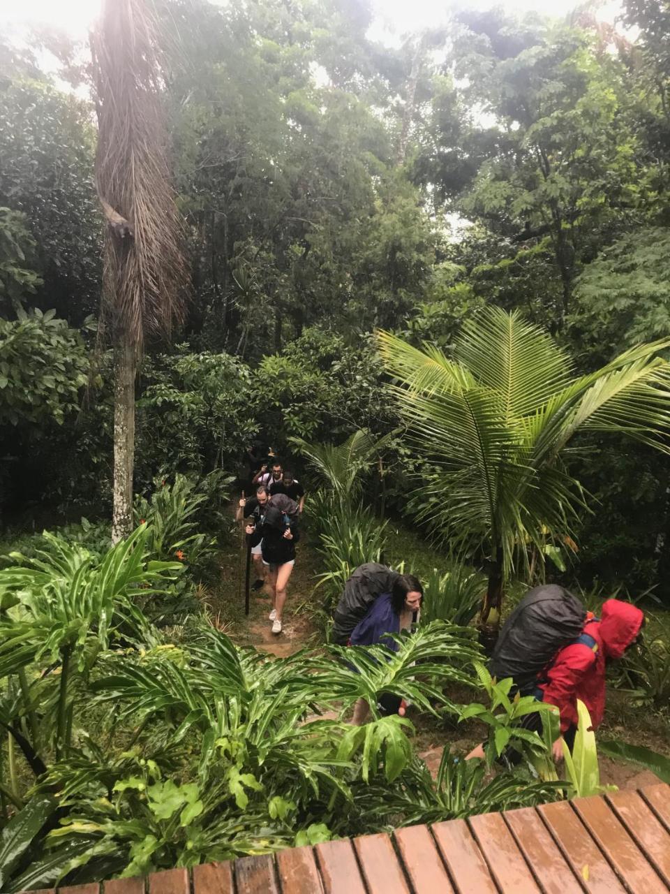Pousada Rainforest House - Ilha Grande Ngoại thất bức ảnh