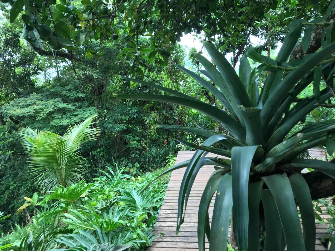Pousada Rainforest House - Ilha Grande Ngoại thất bức ảnh