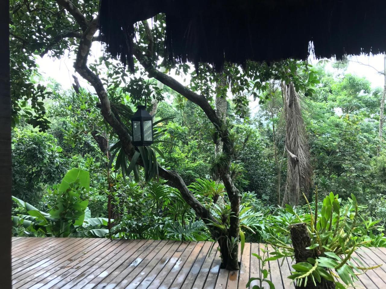 Pousada Rainforest House - Ilha Grande Ngoại thất bức ảnh